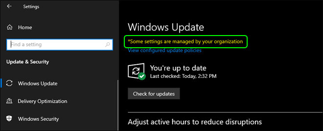 Automatic Windows Updates Disabled Successfully