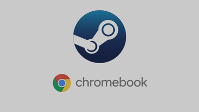 How To Install And Play Steam Games On Chromebook
