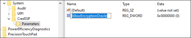 Name New Dword As Allow Encryption Oracle