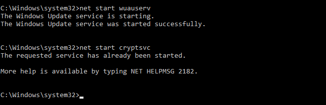 Start Windows Update And Crypto Services