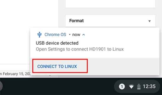 Connect Android phone to Chromebook and click CONNECT TO LINUX