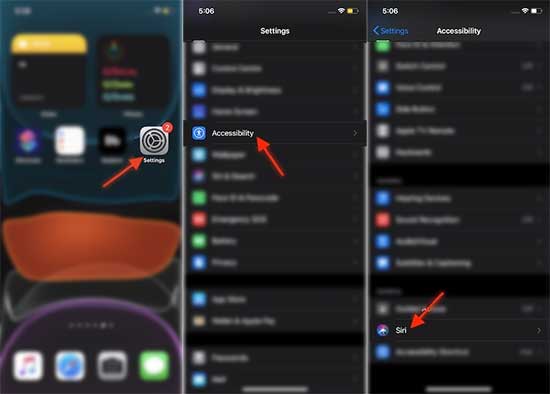 Go to Accessibility Settings and select Siri on iOS 14 iPhone