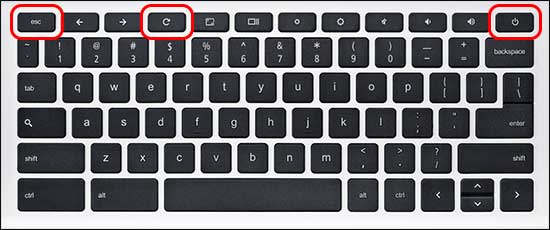 Press And Hold Esc And Refresh Buttons On Keyboard And Then Press Power Button