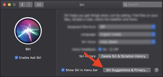 Open Siri Suggestions And Privacy Settings