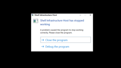 Shell Infra Host Stopped Working Error